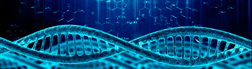 dna telomere ta65