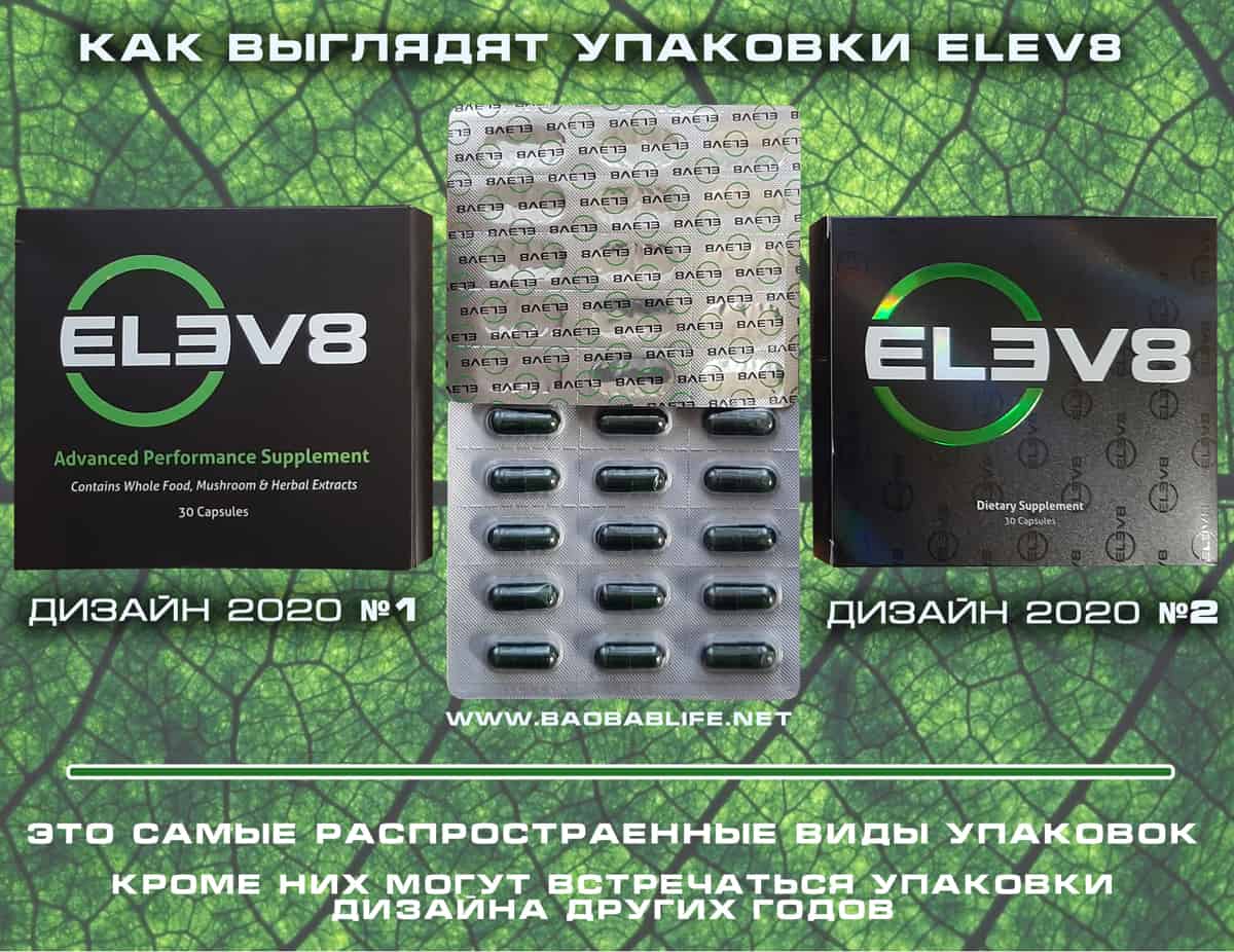 Как выглядит оригинал Elev8 2020-21 года