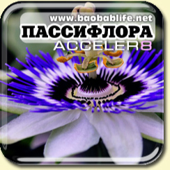 Страстоцвет - ингредиент Acceler8