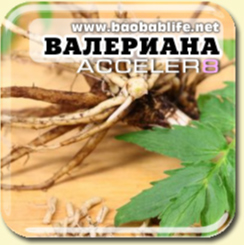 Корень валерианы - ингредиент Acceler8