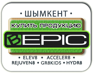 Elev8 Acceler8 Шымкент